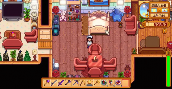 星露谷物语房间怎么布置_星露谷物语最新版本