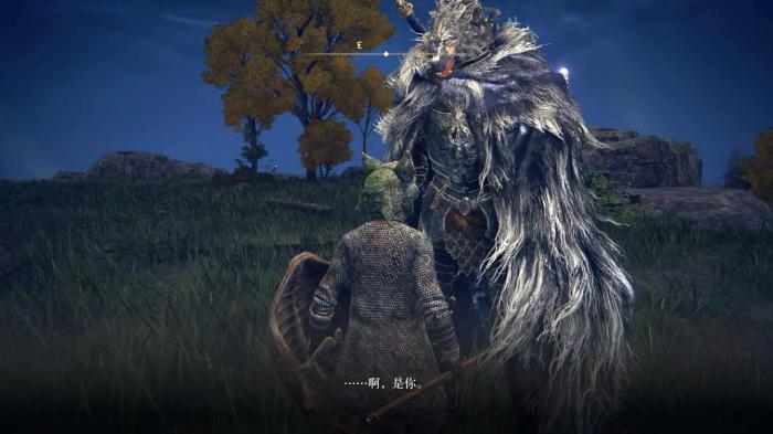 艾尔登法环有哪些支线3