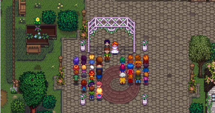 星露谷物语怎么结婚1