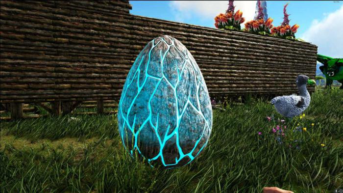 方舟生存进化怎么孵雷龙蛋2