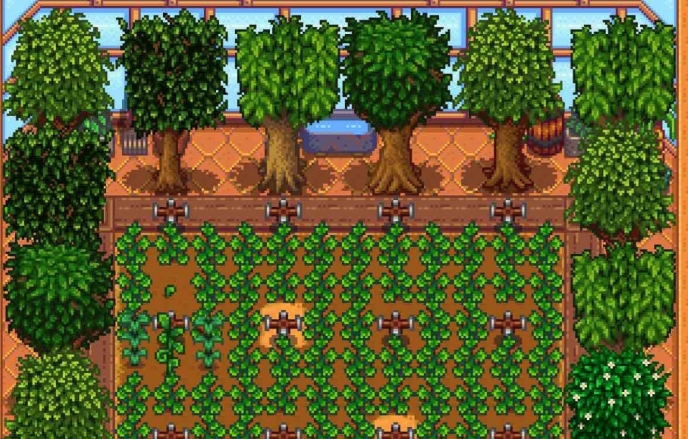 星露谷物语什么树出来好看1