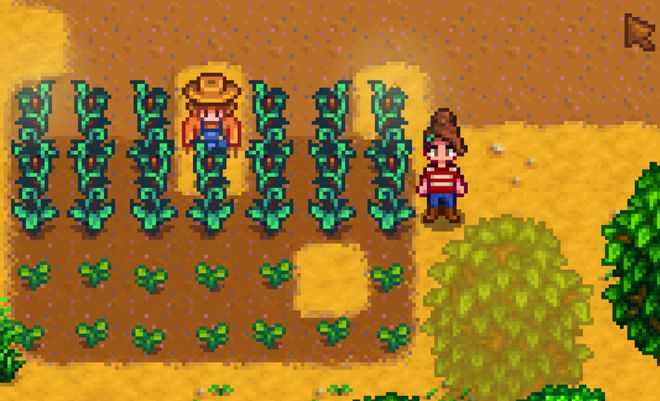 星露谷物语什么树出来好看3