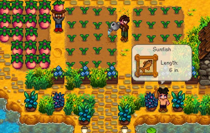 星露谷物语合作模式怎么玩3