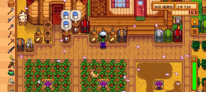 星露谷物语夏天干什么好2