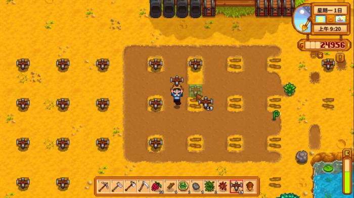 星露谷物语夏天干什么好3