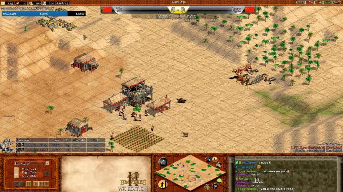 帝国时代2中国攻略技巧是什么3