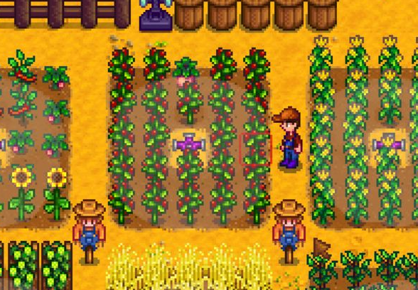 星露谷物语海滩农场怎么用洒水器3