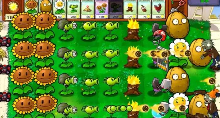 植物大战僵尸攻略42怎么过_植物大战僵尸攻略大全图解 布阵