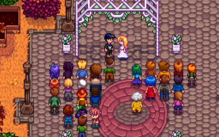 星露谷物语海莉什么时候结婚3