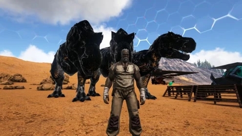 恐龙岛怎么卡石头3