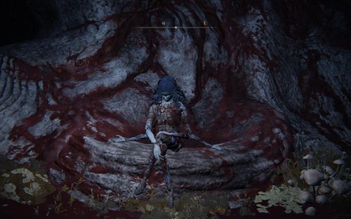 艾尔登法环药水给菈妮喝了怎么办1