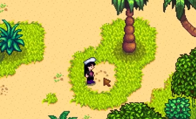 星露谷物语姜岛金核桃任务怎么玩2