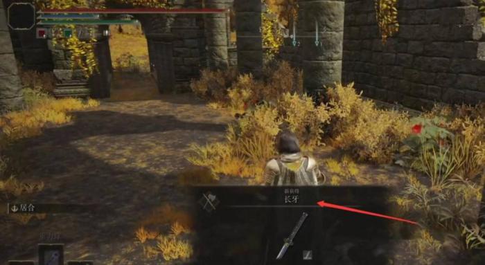 艾尔登法环长牙太刀npc套装1