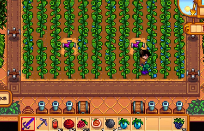 星露谷物语海莉九星怎么升1