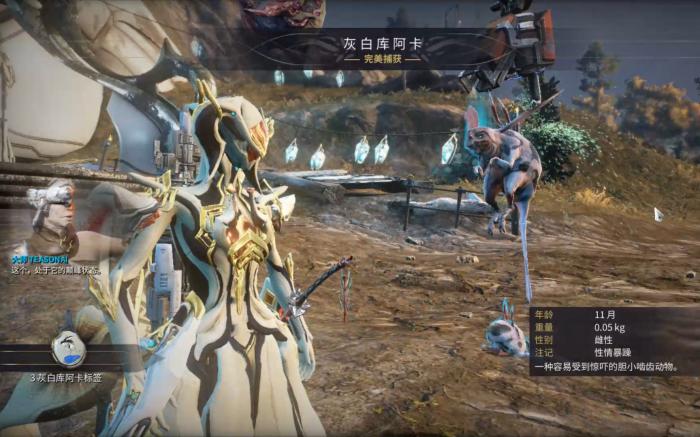 星际战甲小鸭子各级声望升级怎么做_星际战甲小鸭子声望奖励