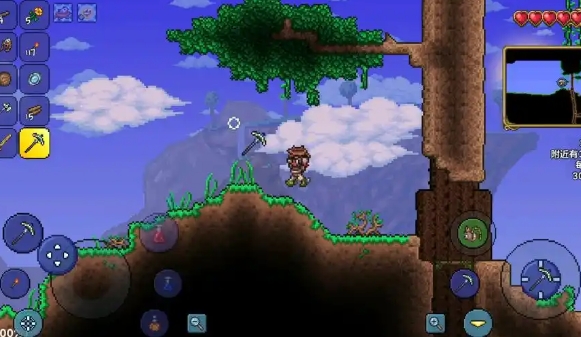 泰拉瑞亚水母皇后有什么技能3