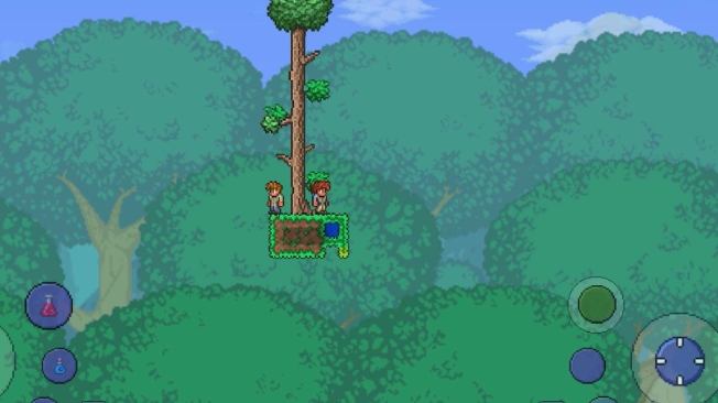 泰拉瑞亚圣诞老人有什么用1