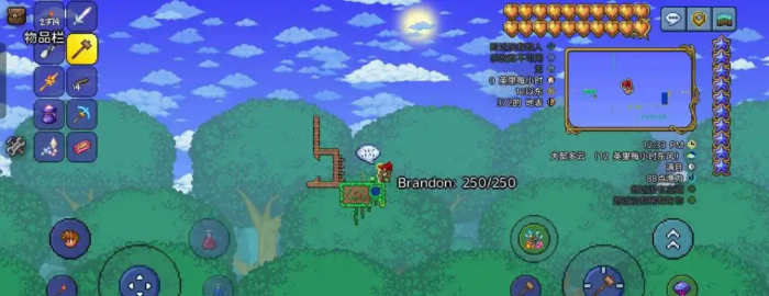 泰拉瑞亚怎么去空岛1