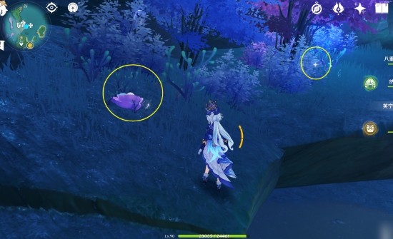 原神珊瑚宫水月池怎么过3