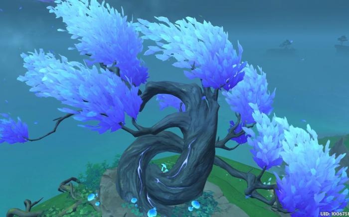 原神栖木解谜怎么做1