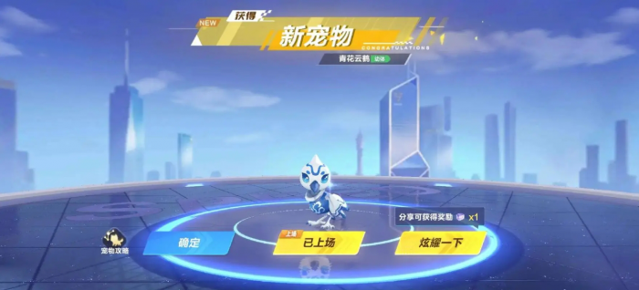 qq飞车买什么宠物好3