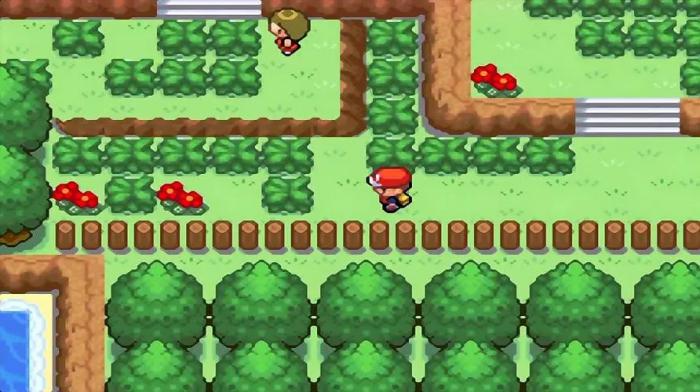 口袋妖怪火红树果森林怎么走2