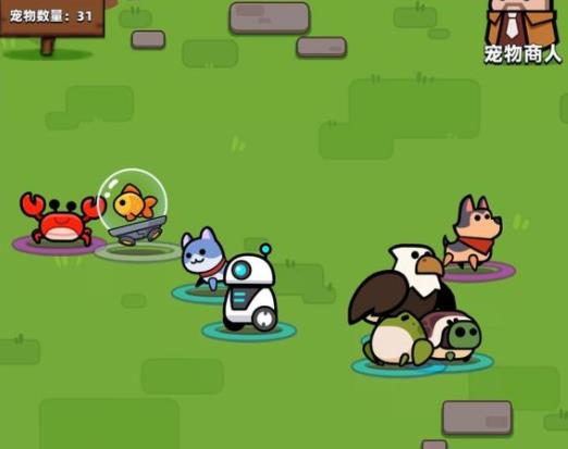 弹壳特攻队宠物哪个好用1