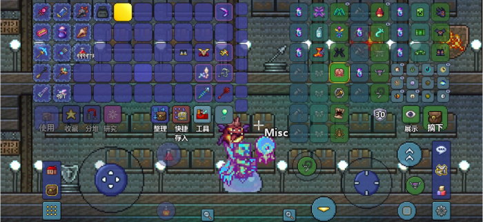 泰拉瑞亚召唤师装备怎么搭配1