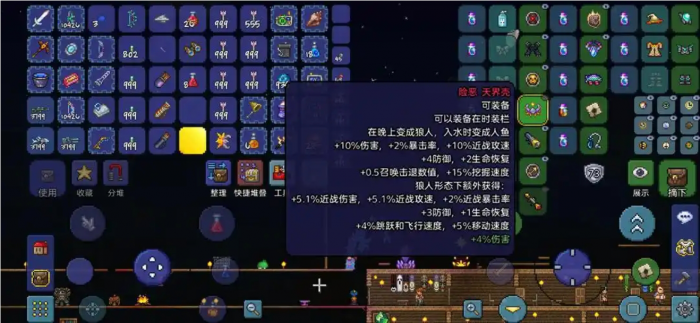 泰拉瑞亚召唤师装备怎么搭配2