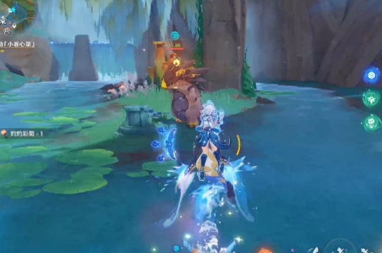 原神灼灼彩菊怎么快速收集2