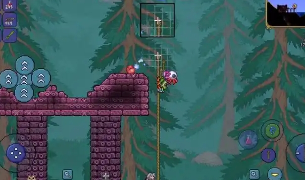 泰拉瑞亚星辉瘟疫中会刷出哪些怪3