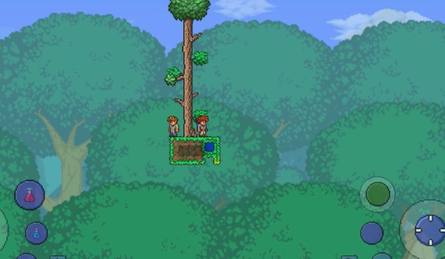 泰拉瑞亚发型师会卖什么2