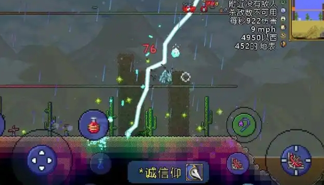 泰拉瑞亚有哪些稀有宠物_泰拉瑞亚稀有宠物大全