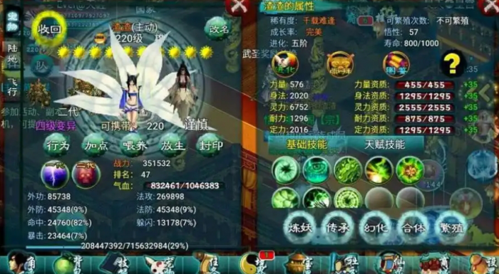 忘仙千载宠物在哪得2