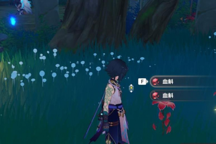 原神血斛怎么快速收集2