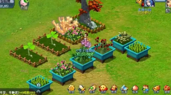 梦幻西游植物怎么种_梦幻西游植物种子怎么照料