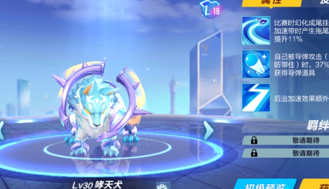 qq飞车商城宠物哪个好2