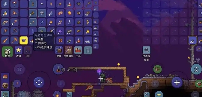 泰拉瑞亚如何隐藏自己的盔甲1