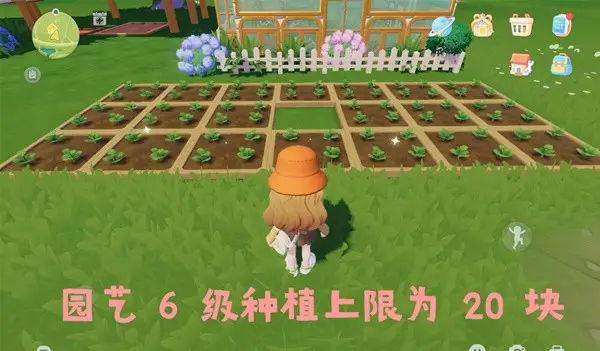 心动小镇怎么种植3