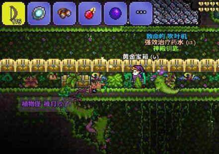 泰拉瑞亚药草怎么培养1