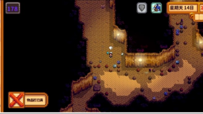 星露谷物语沙漠要怎么去1