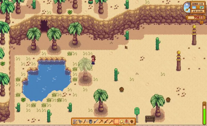 星露谷物语沙漠要怎么去3