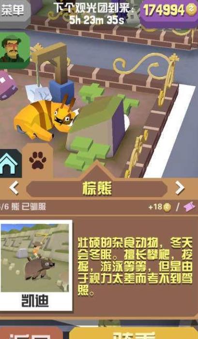 疯狂动物园所有熊怎么抓_疯狂动物园无限金币版