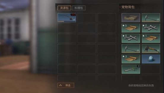 明日之后背包满了怎么办2