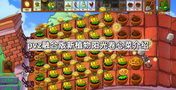 《植物大战僵尸融合版》新植物阳光卷心菜介绍1