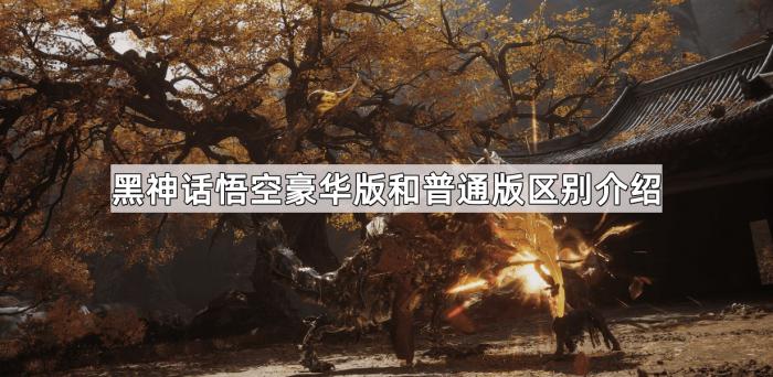 黑神话悟空豪华版和普通版区别介绍1