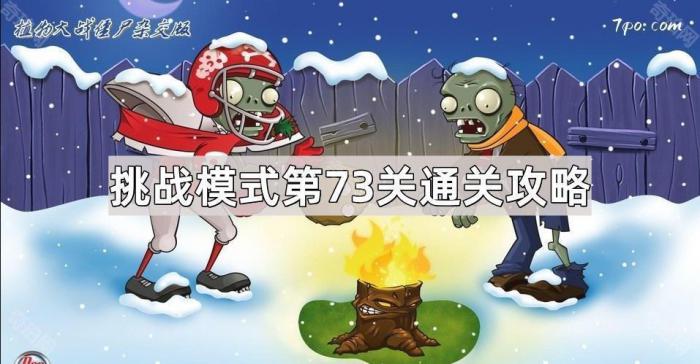 植物大战僵尸杂交版挑战模式第73关通关攻略_植物大战僵尸 挑战