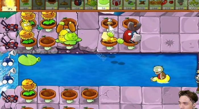 《植物大战僵尸杂交版》冒险模式第31关通关攻略3