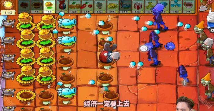 《植物大战僵尸杂交版》冒险模式第47关通关攻略4