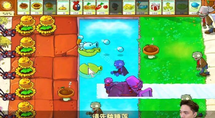 《植物大战僵尸杂交版》冒险模式第40关通关攻略3